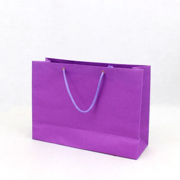 Gift Bag Plain Color | 23*33*10 cm