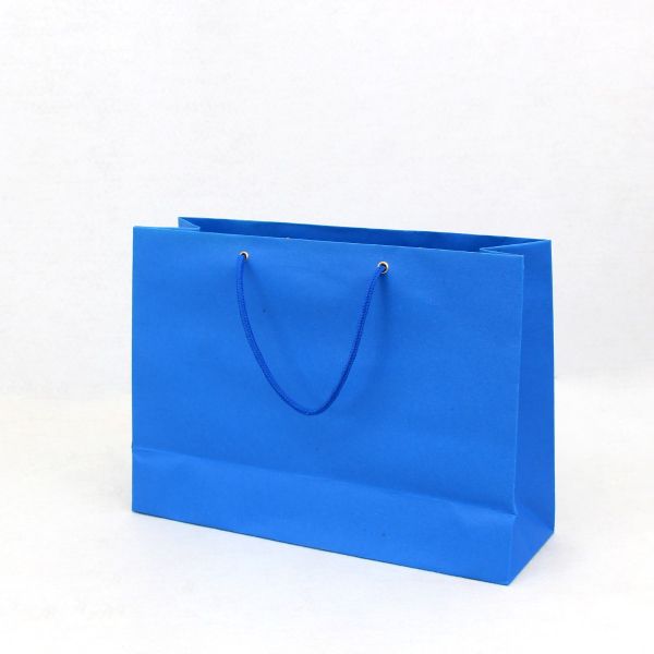 Gift Bag Plain Color | 23*33*10 cm
