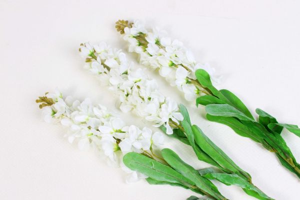 Flowers  - White Delphinium 