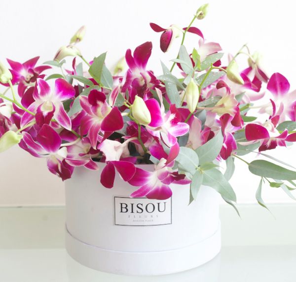 Lush orchids (White Color only)